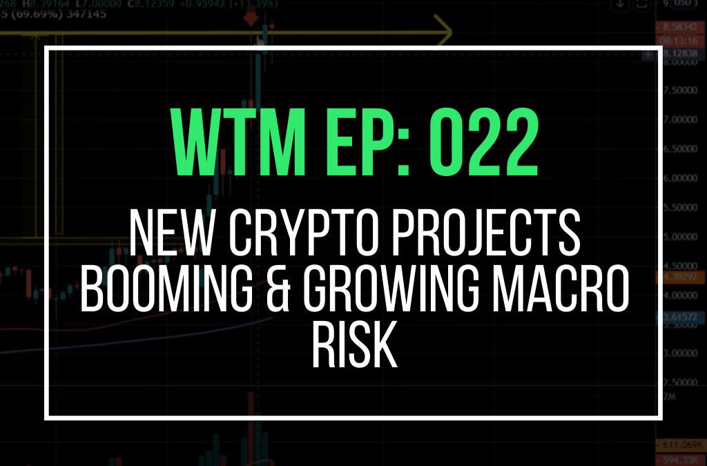 New Crypto Projects Booming & Growing Macro Risk (WTM Ep: 022)