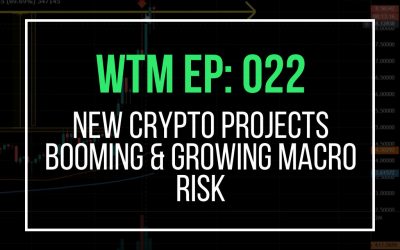 New Crypto Projects Booming & Growing Macro Risk (WTM Ep: 022)