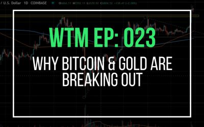 Why Bitcoin & Gold Are Breaking Out (WTM Ep: 023)