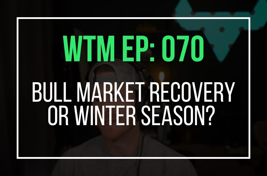 Bull Market Recovery or Winter Season? (WTM Ep: 070)