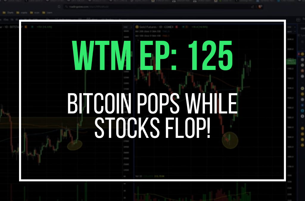 Bitcoin Pops While Stocks Flop! (WTM Ep: 125)