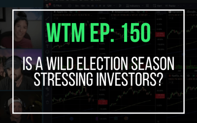 Is a Wild Election Season Stressing Investors? (WTM Ep: 150)
